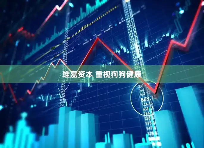 维嘉资本 重视狗狗健康