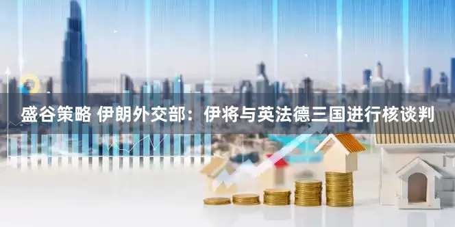 盛谷策略 伊朗外交部：伊将与英法德三国进行核谈判