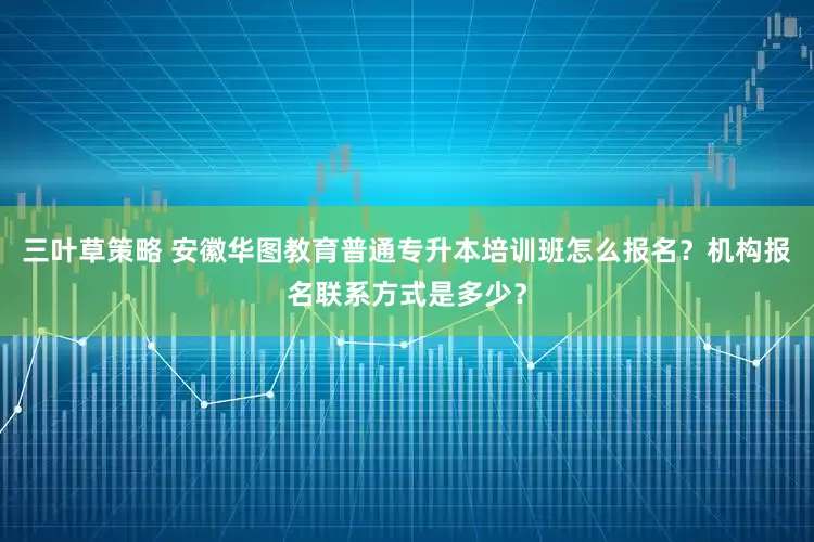 三叶草策略 安徽华图教育普通专升本培训班怎么报名？机构报名联系方式是多少？