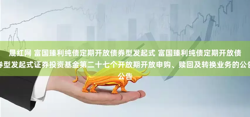 晟红网 富国臻利纯债定期开放债券型发起式 富国臻利纯债定期开放债券型发起式证券投资基金第二十七个开放期开放申购、赎回及转换业务的公告